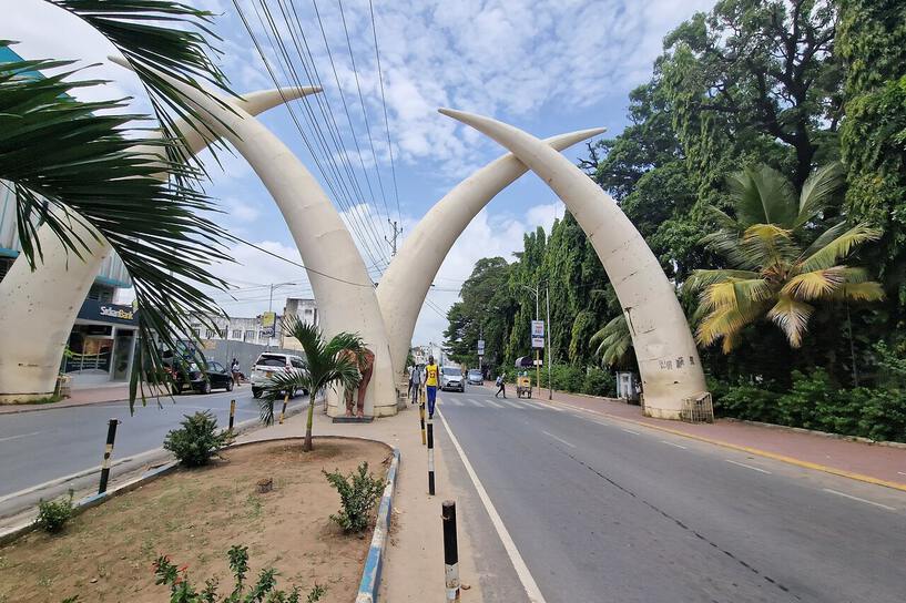 Mombasa Tusks