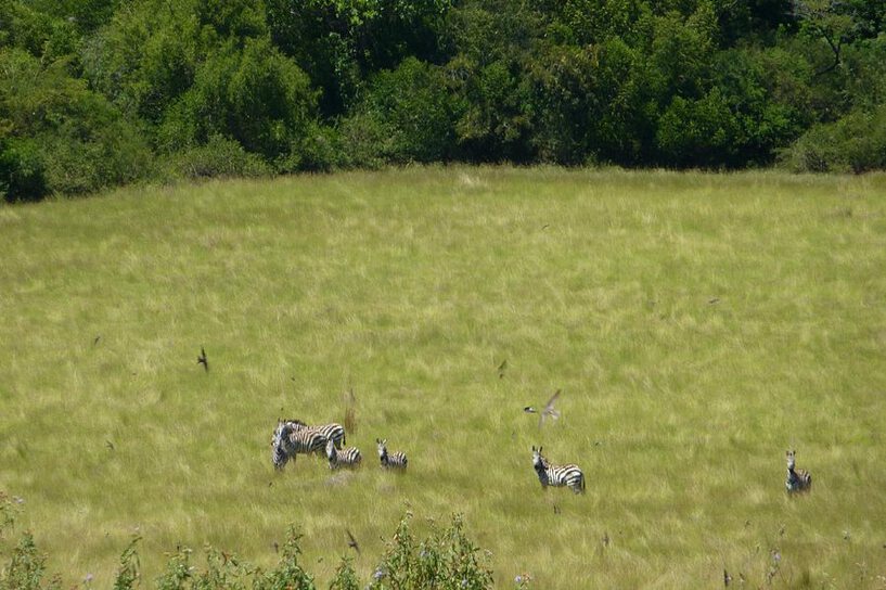 Ndere Island National Park