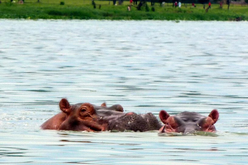 Hippo Point