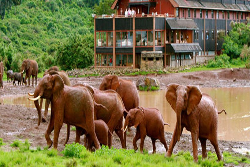 Aberdare National Park