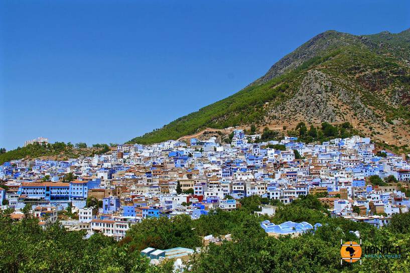 The Blue Medina