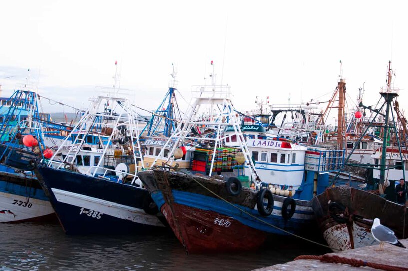 Essaouira Fishing Port