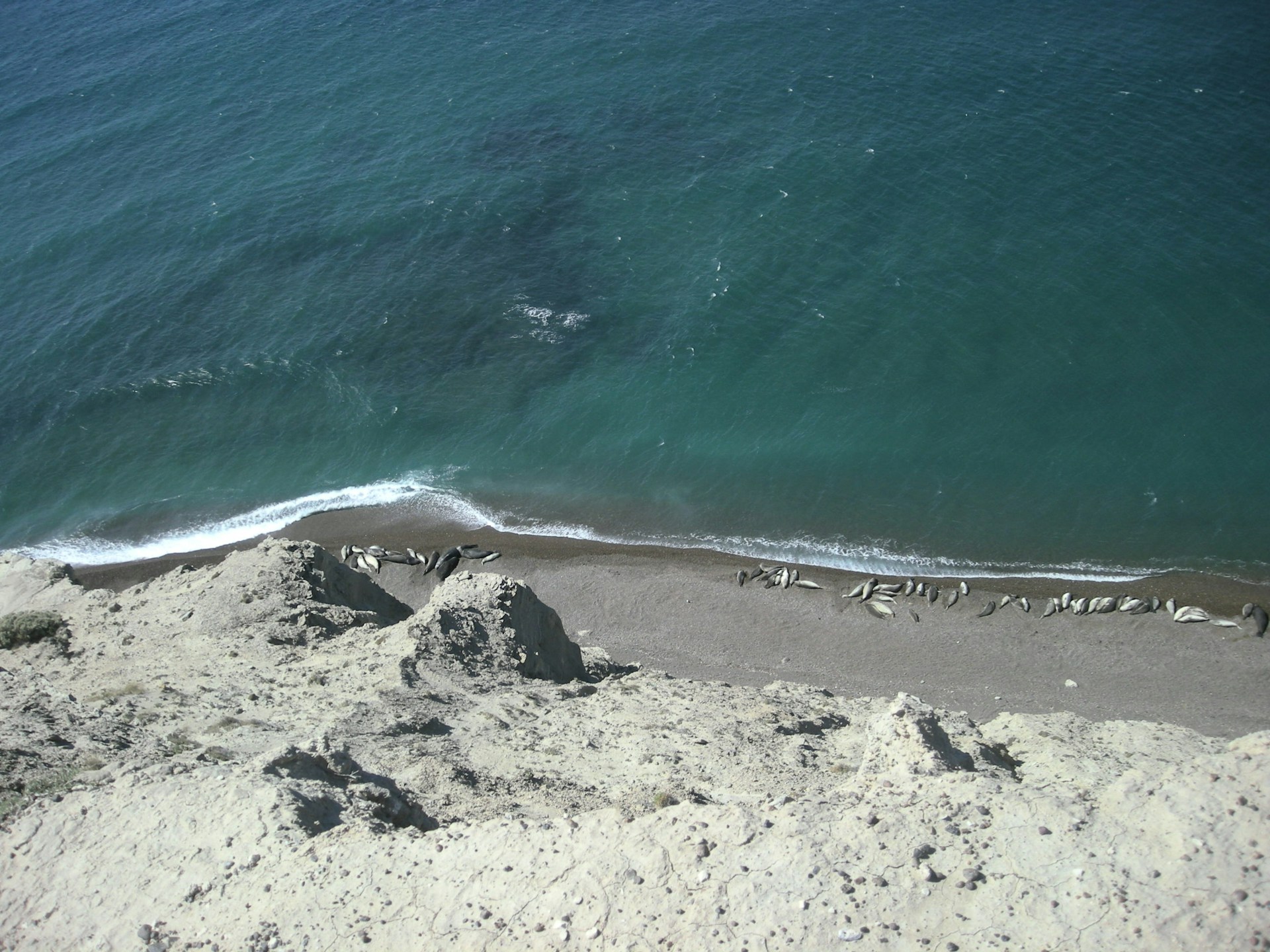 Punta Ninfas