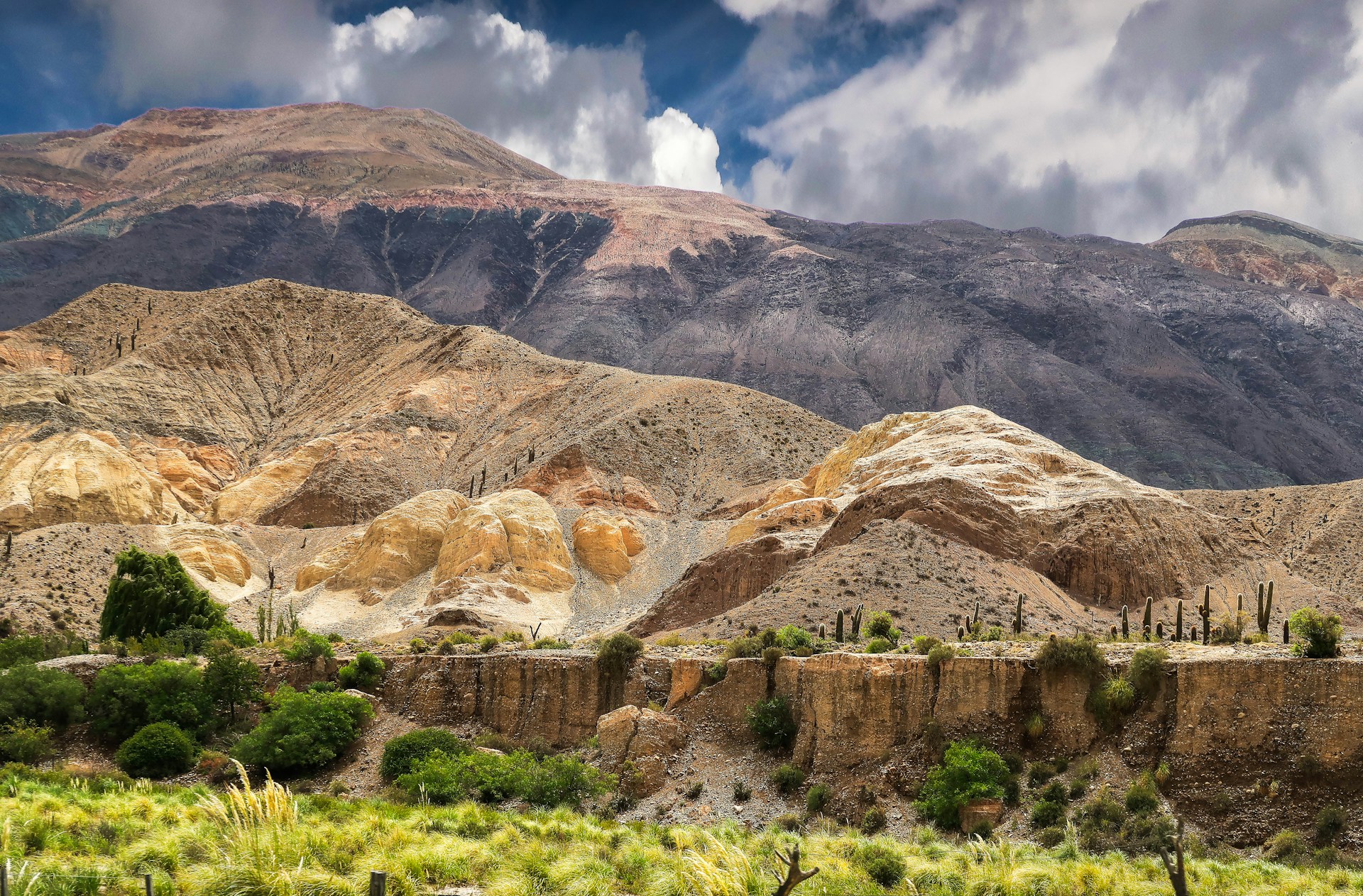 Los Cardones National Park