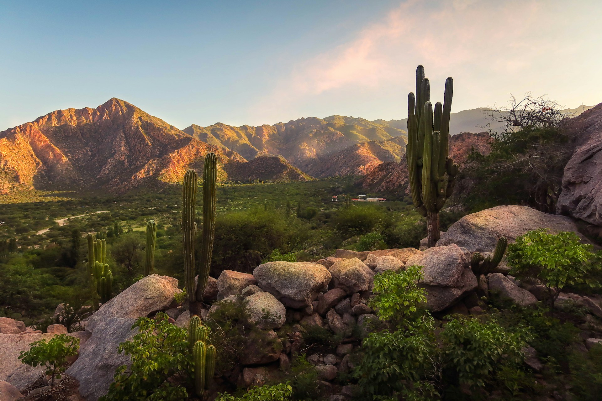 Cafayate