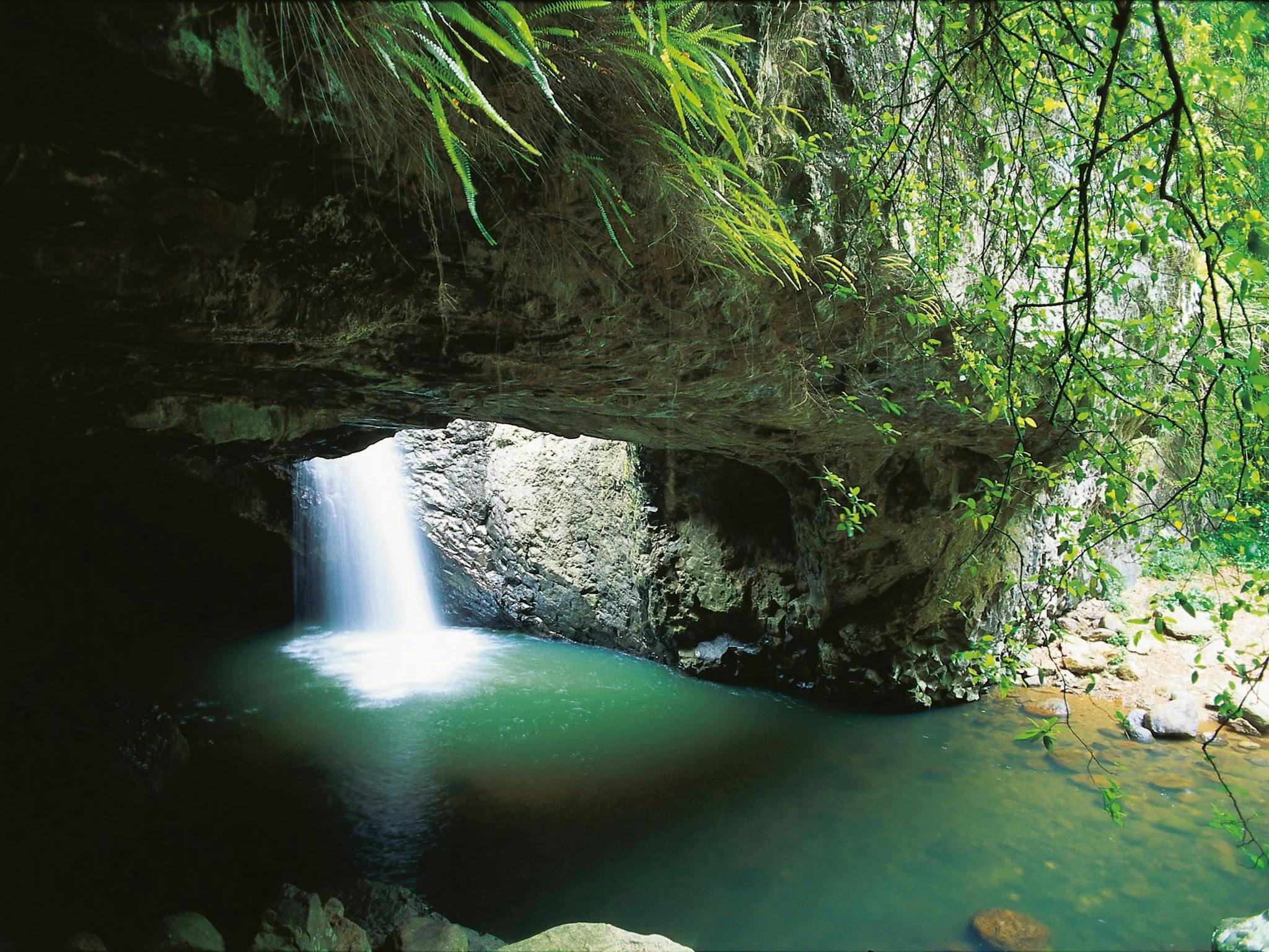 Springbrook National Park
