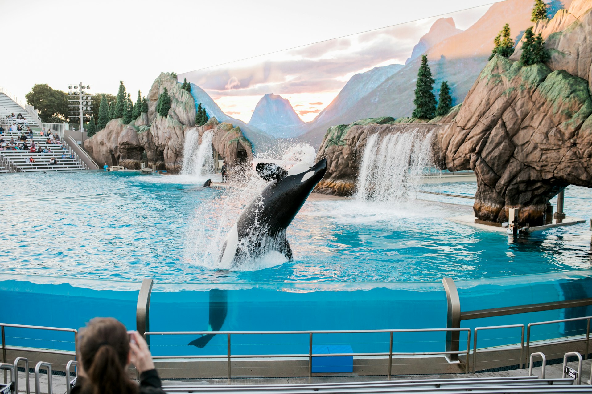 Sea World