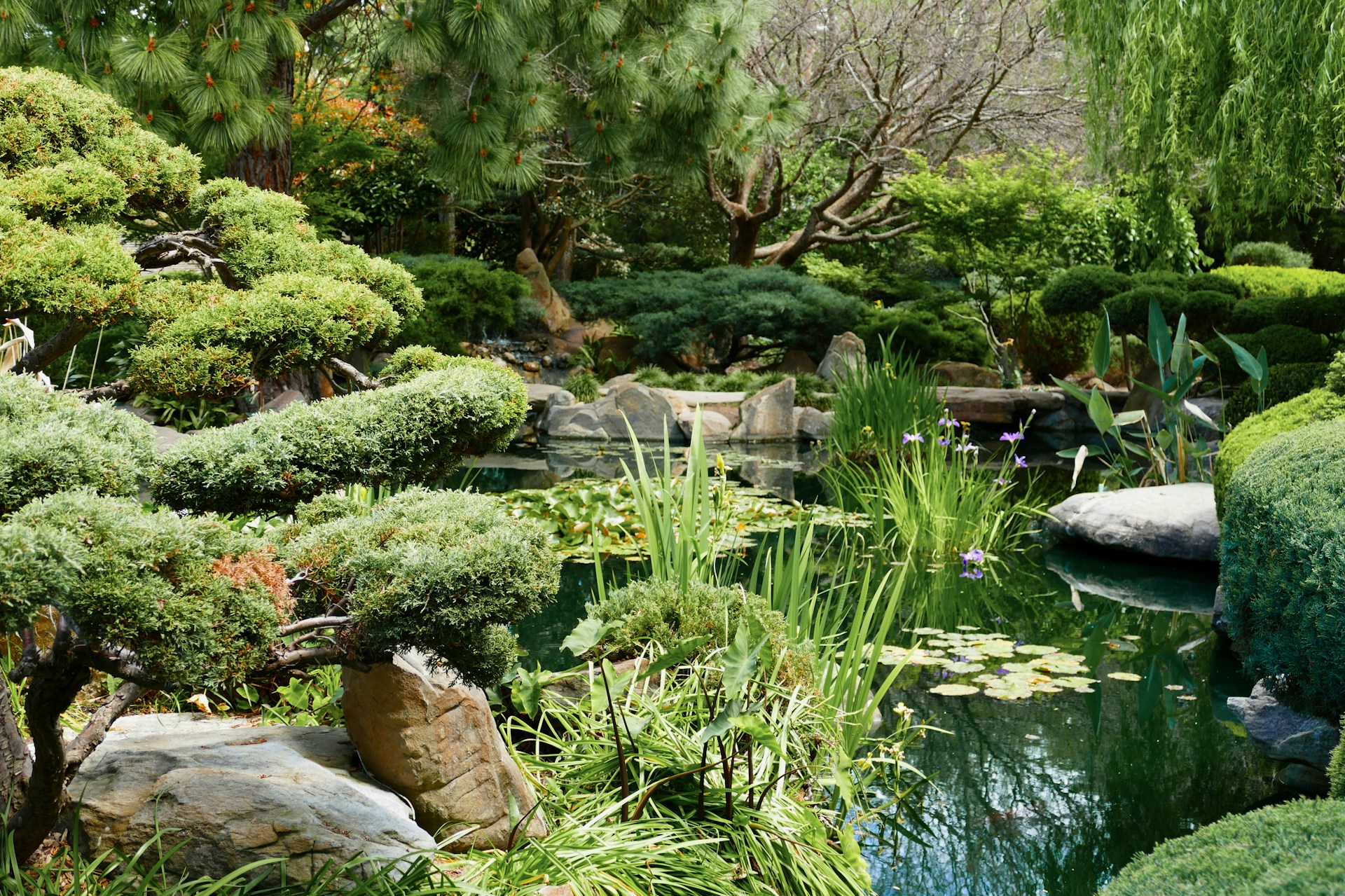Adelaide Botanic Garden