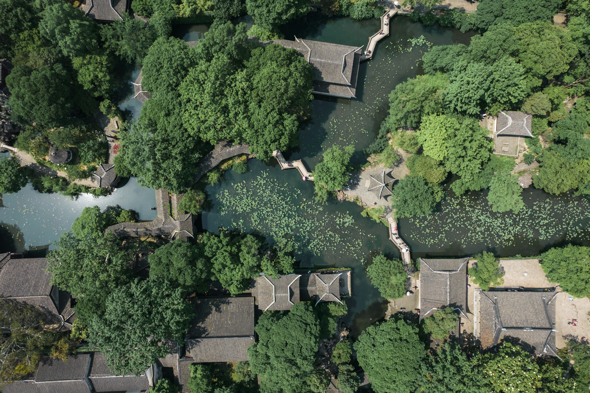 Lingering Garden