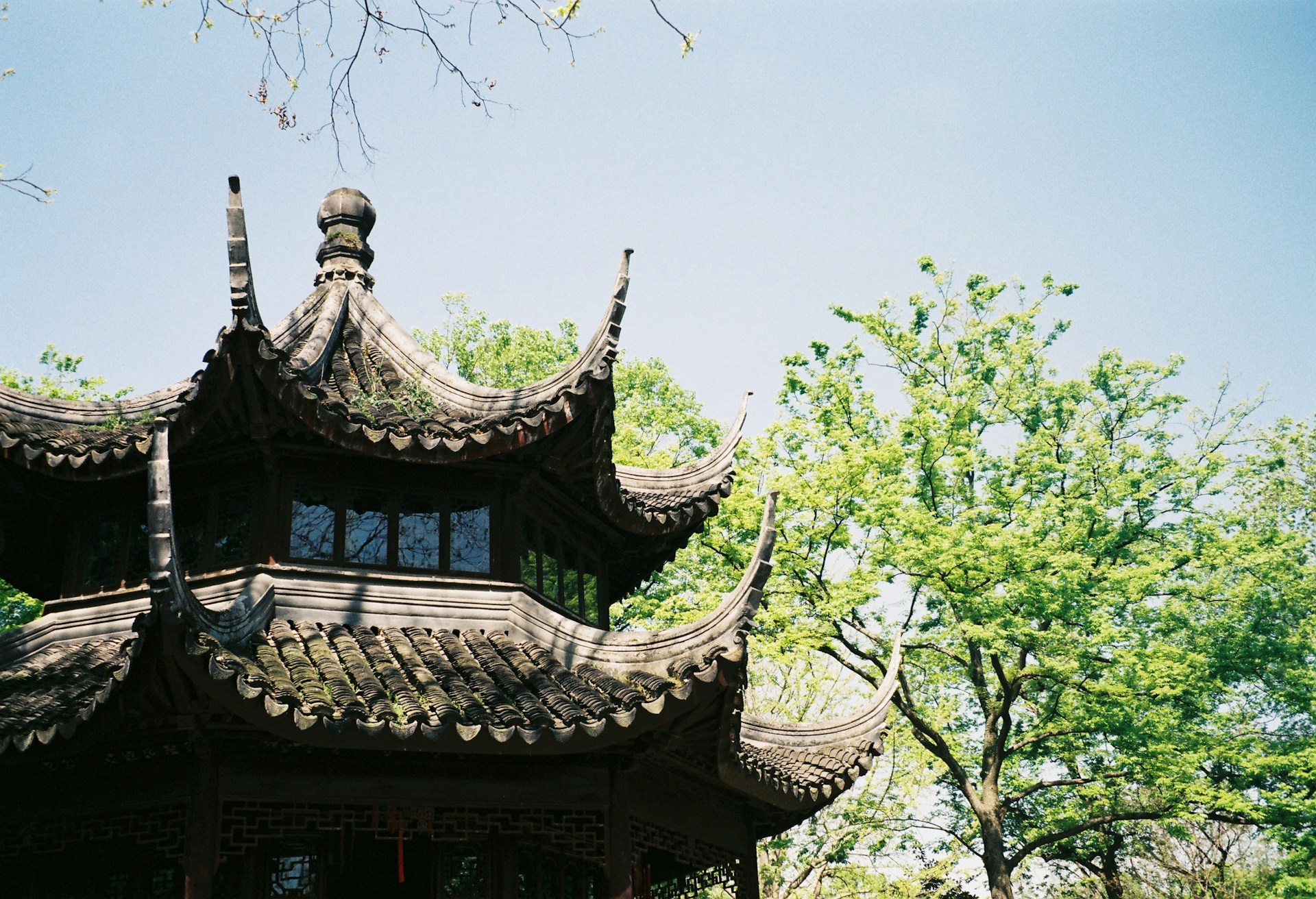Master of Nets Garden