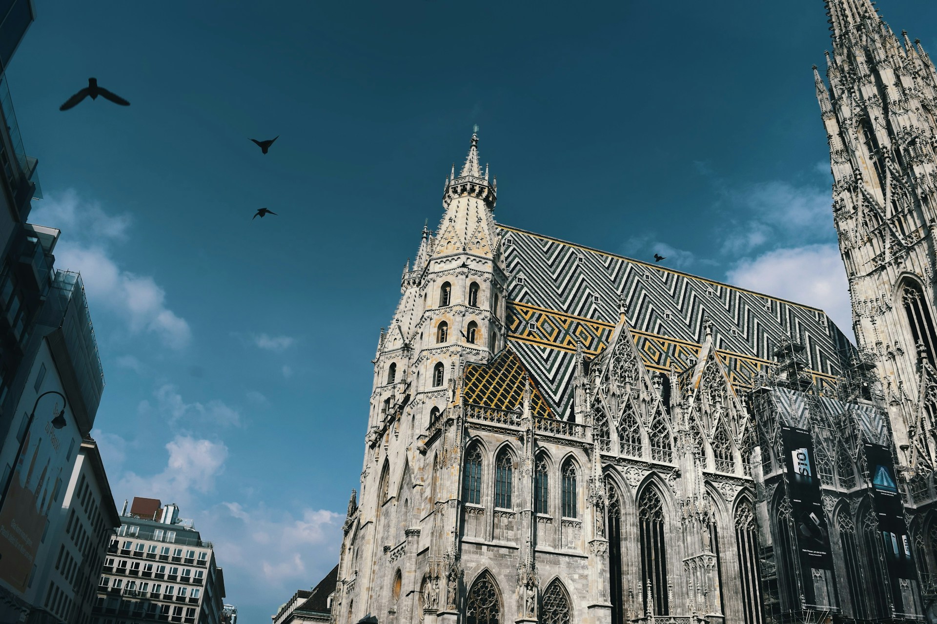 St. Stephen’s Cathedral
