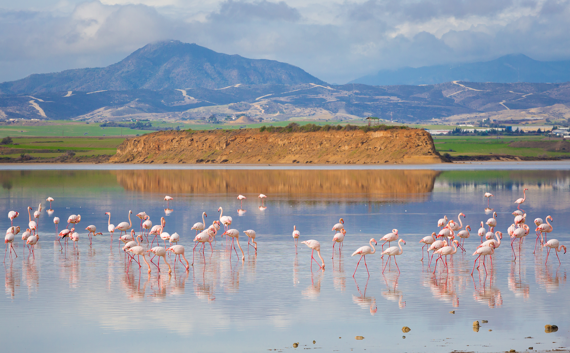 Larnaca Salt Lake & Hala Sultan Tekke