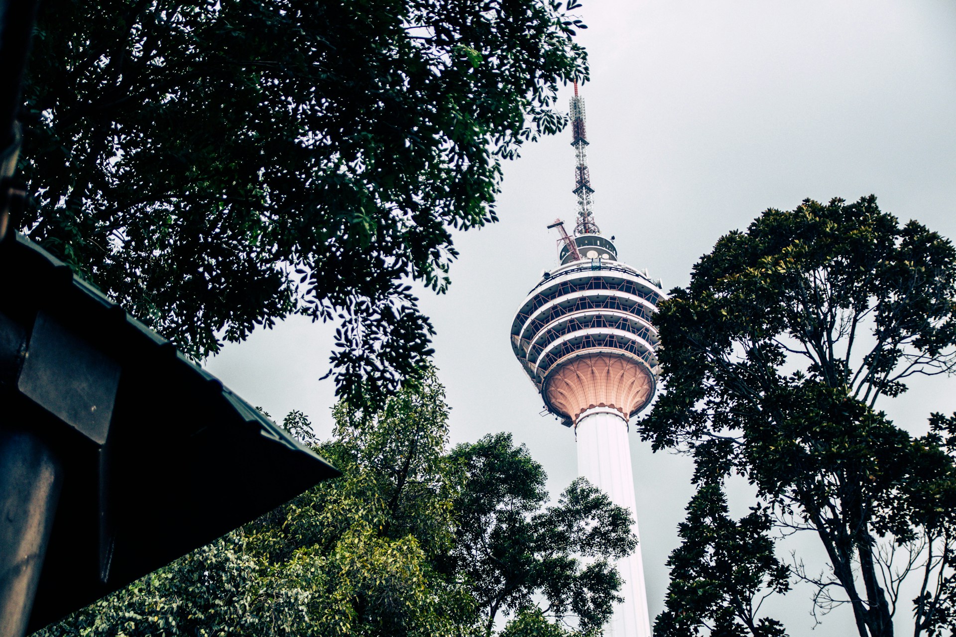 KL Tower & Forest Eco Park