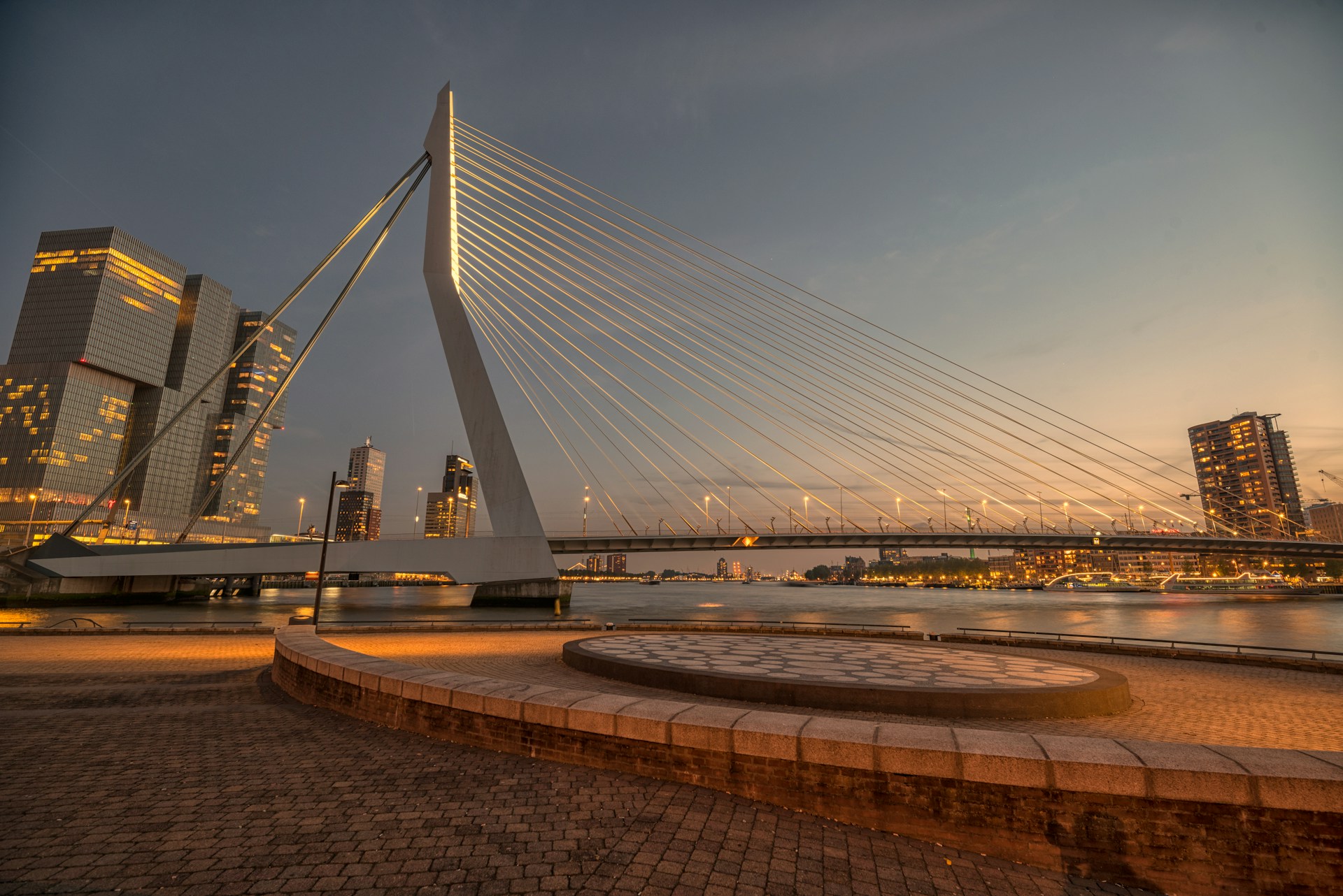 Erasmus Bridge & Kop van Zuid