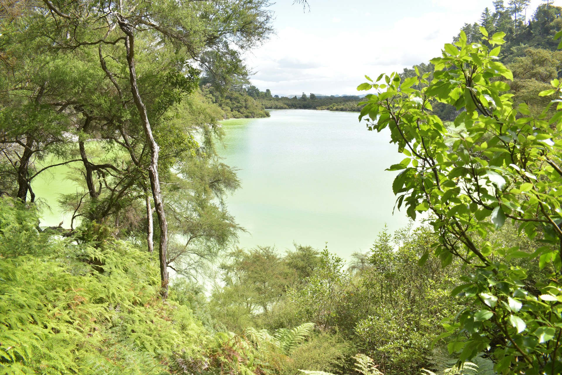 Lake Rotorua & Government Gardens