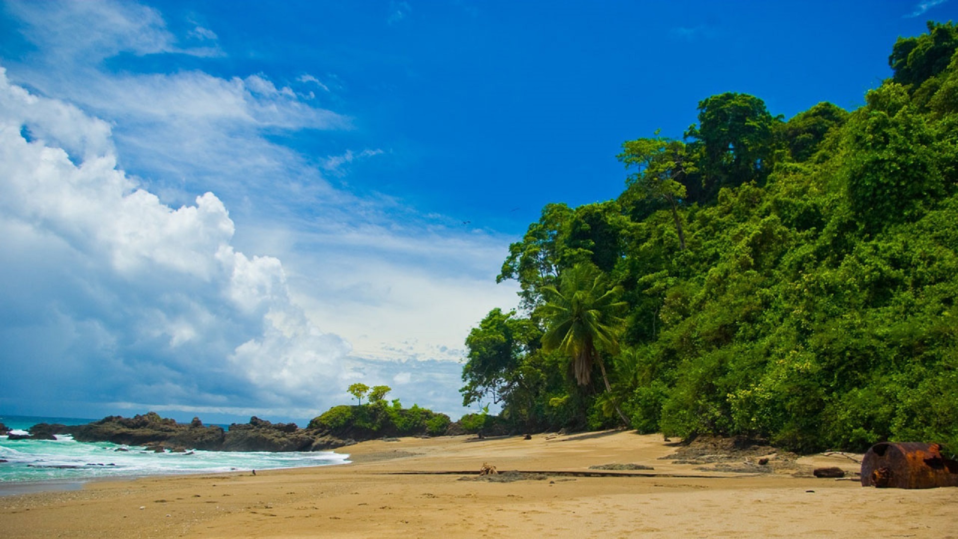 Wonders of the Caribbean Coast