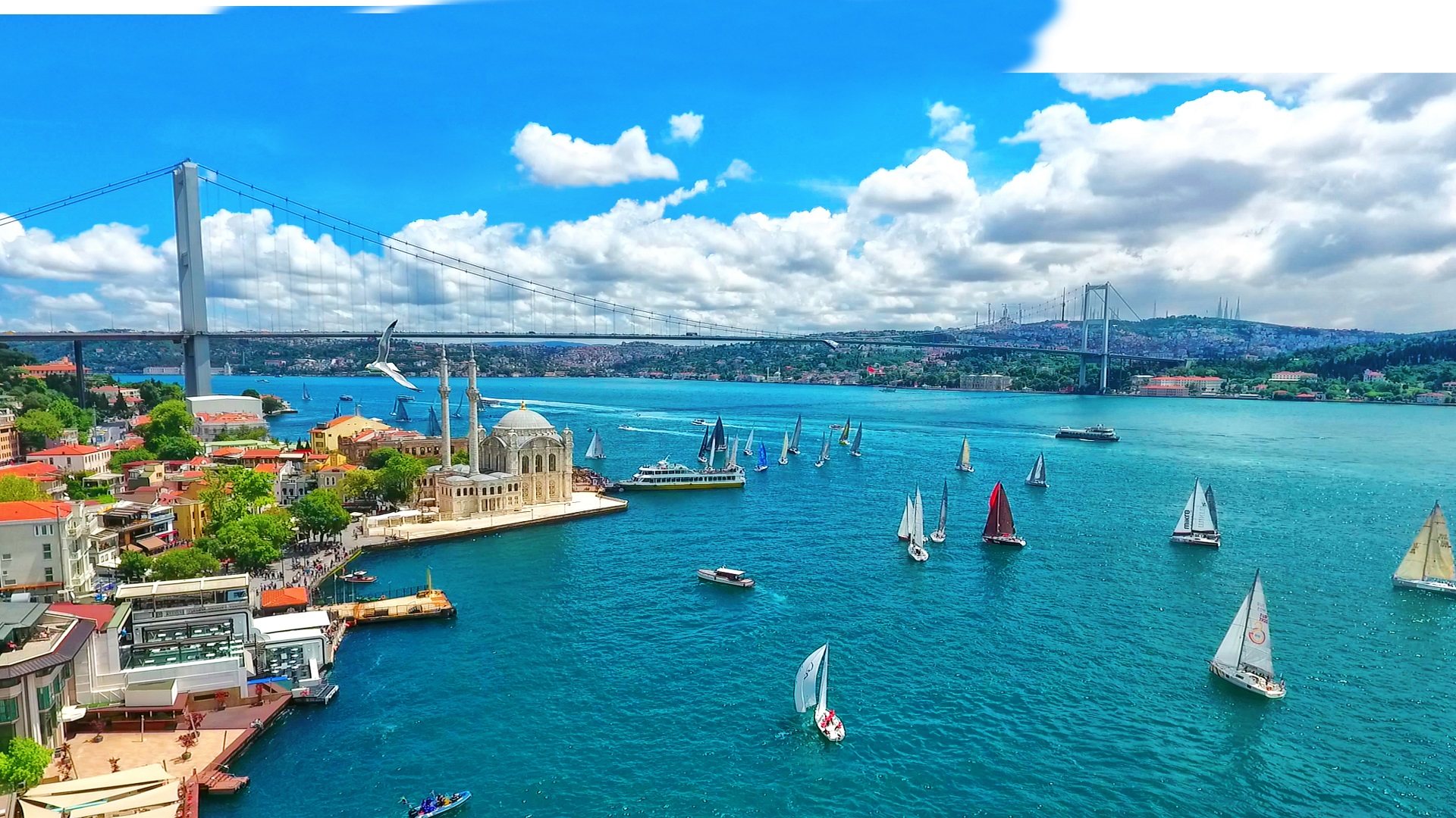 Pure Istanbul