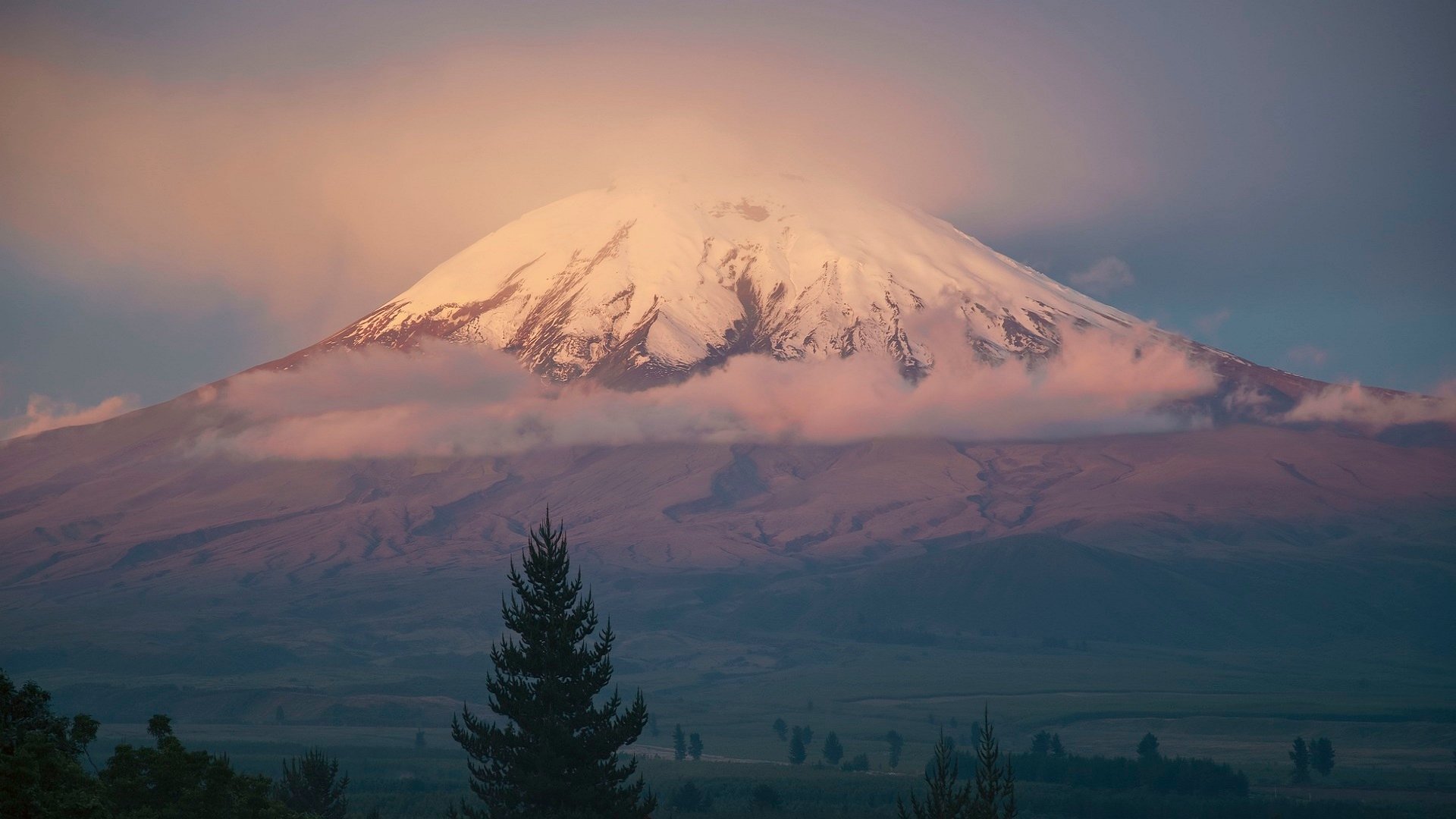 Andean Treasures Explorer