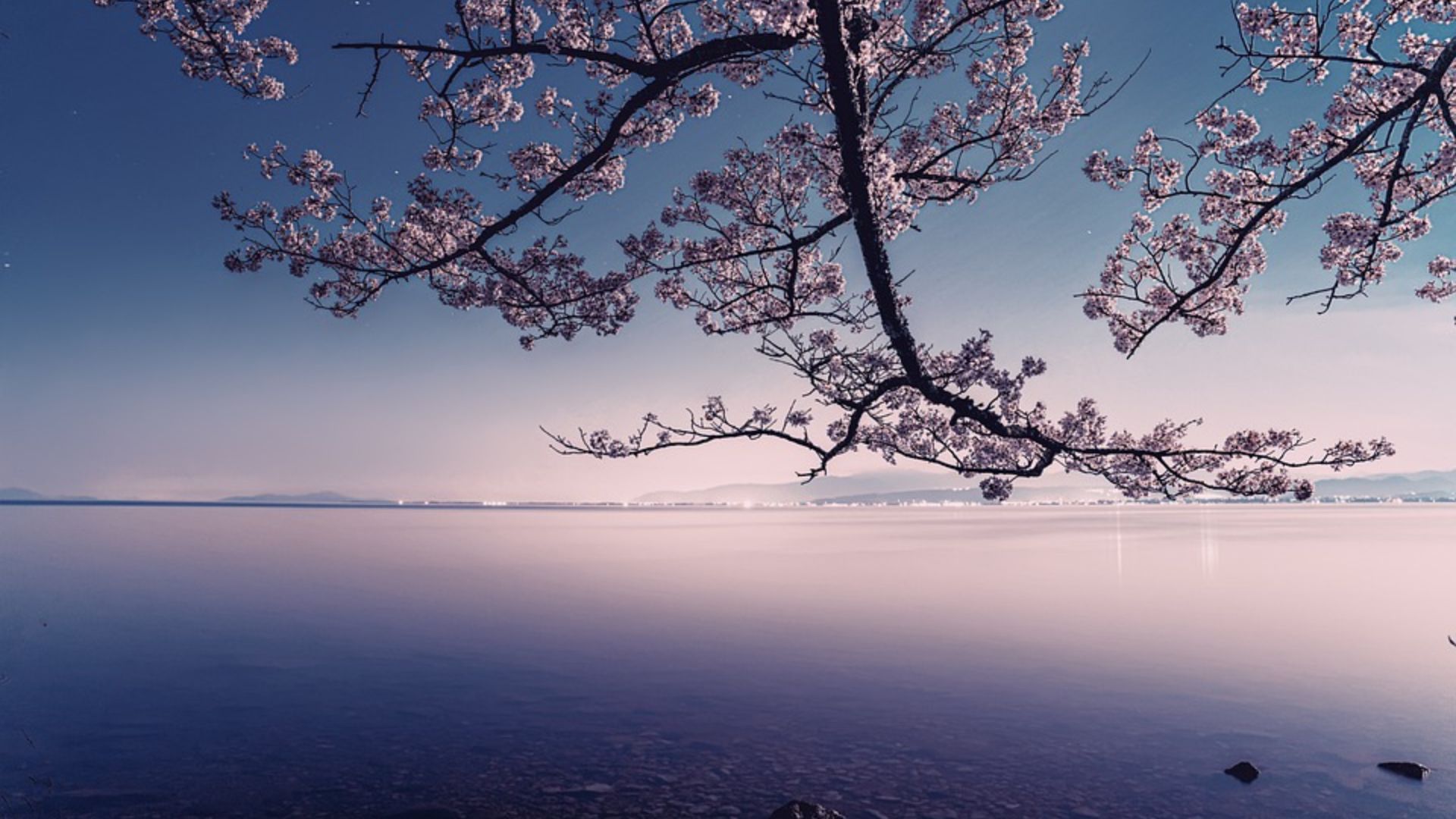 Best of Japan And Korea