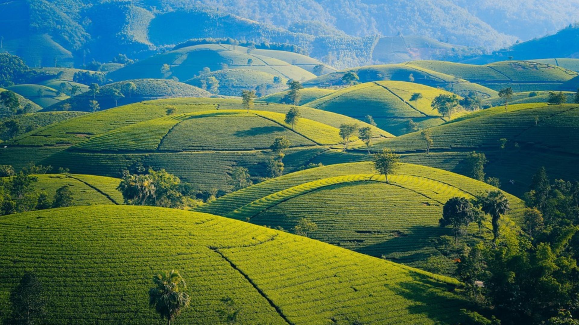 Cambodia and Vietnam Adventure
