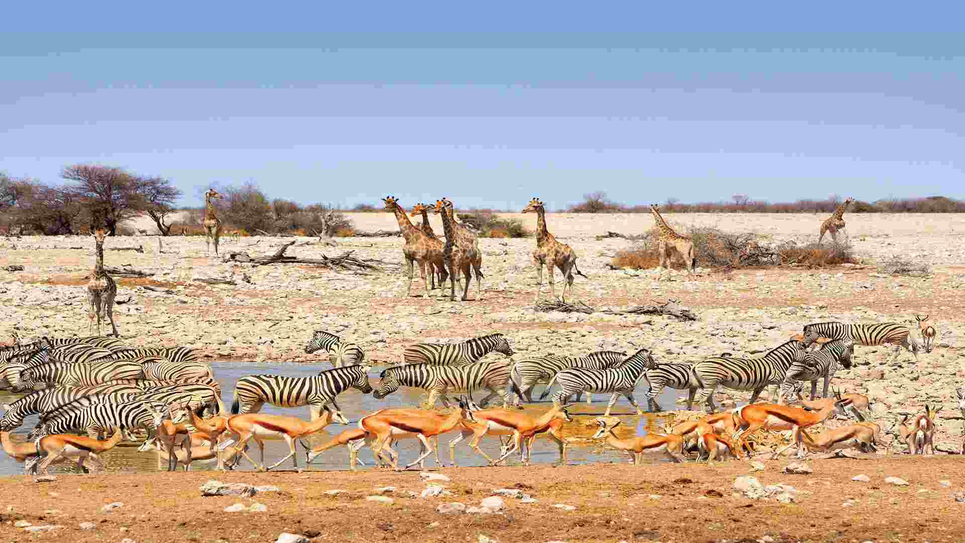 Classic Namibia