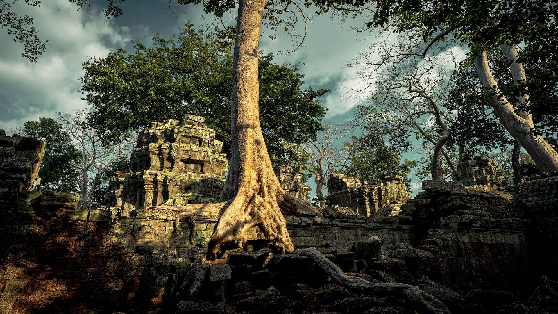 Discover Cambodia