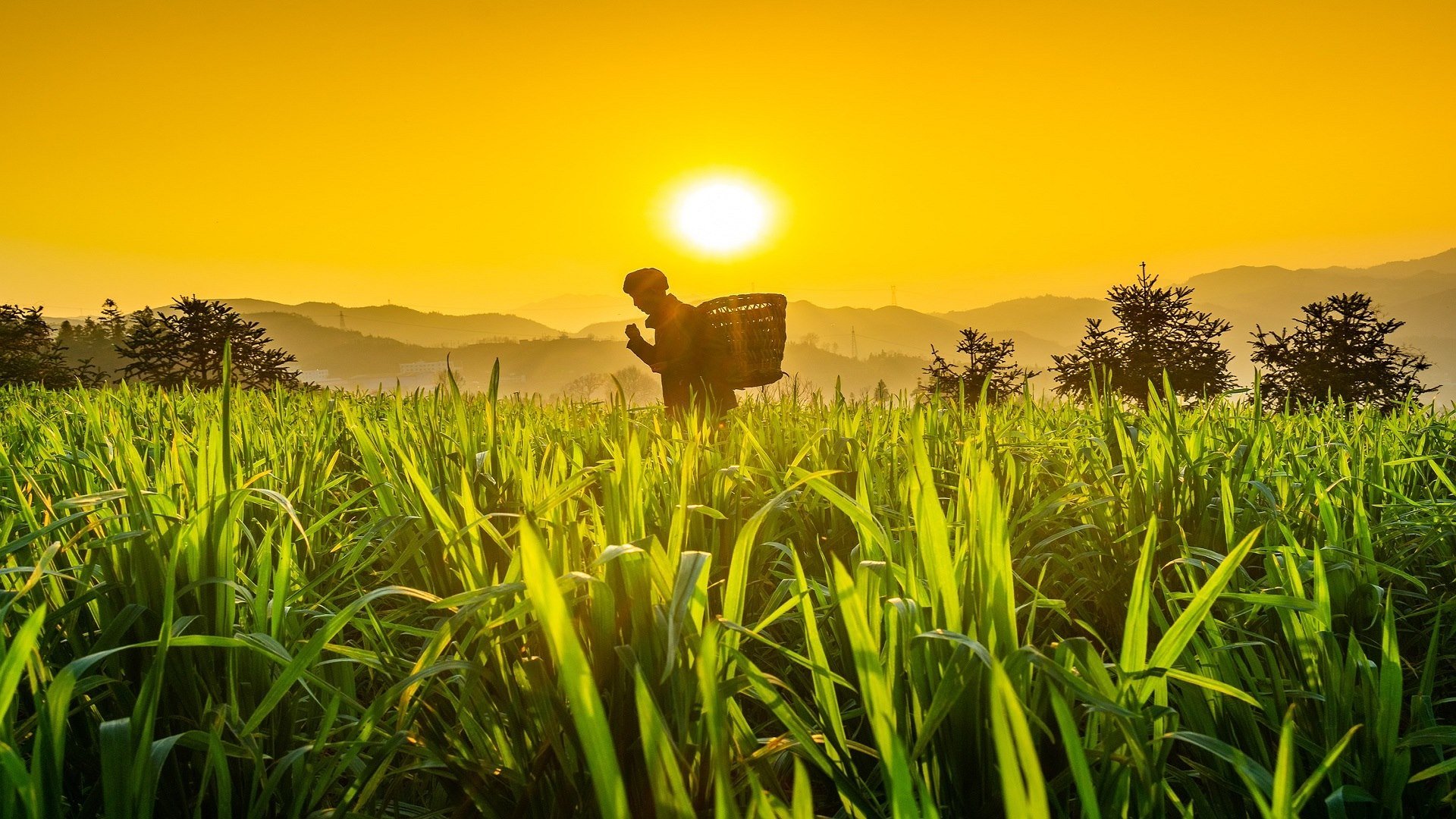 Enchanting China Discovery