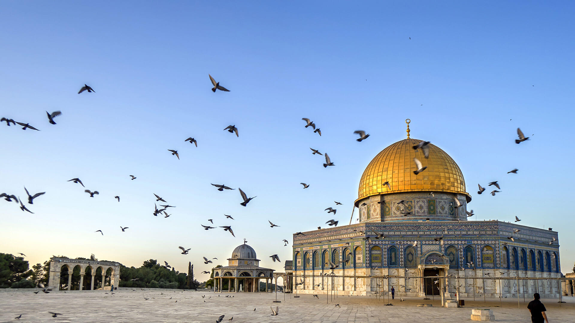 Evangelical Israel