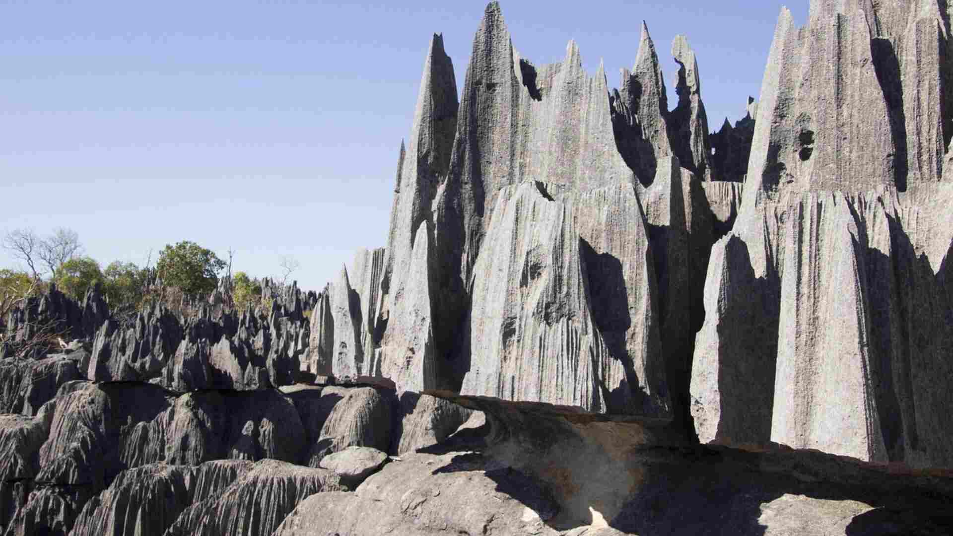 Exploring Madagascar