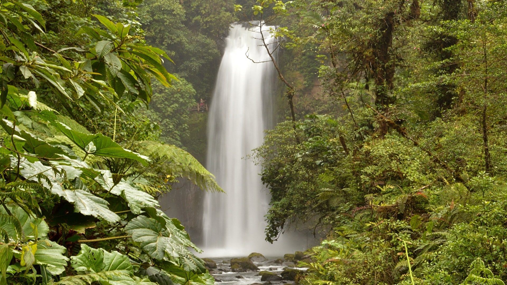 Extreme Costa Rica Honeymoon