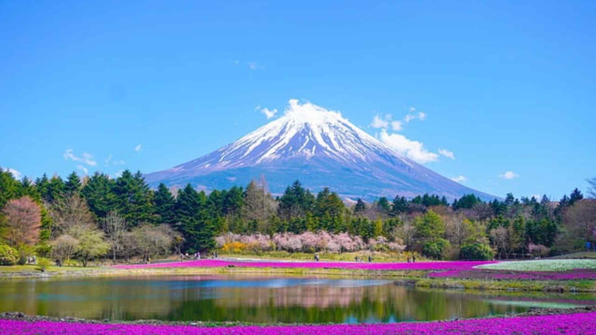 Colors of Japan and the Kumano Kodo Trails