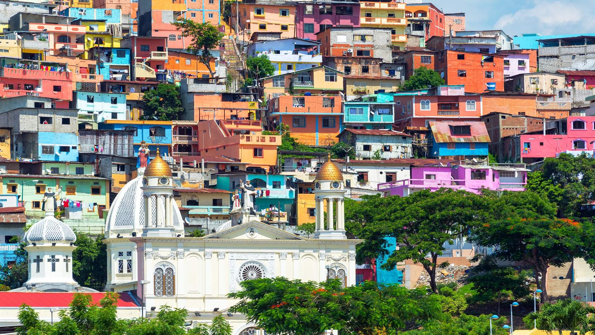 Guayaquil Express