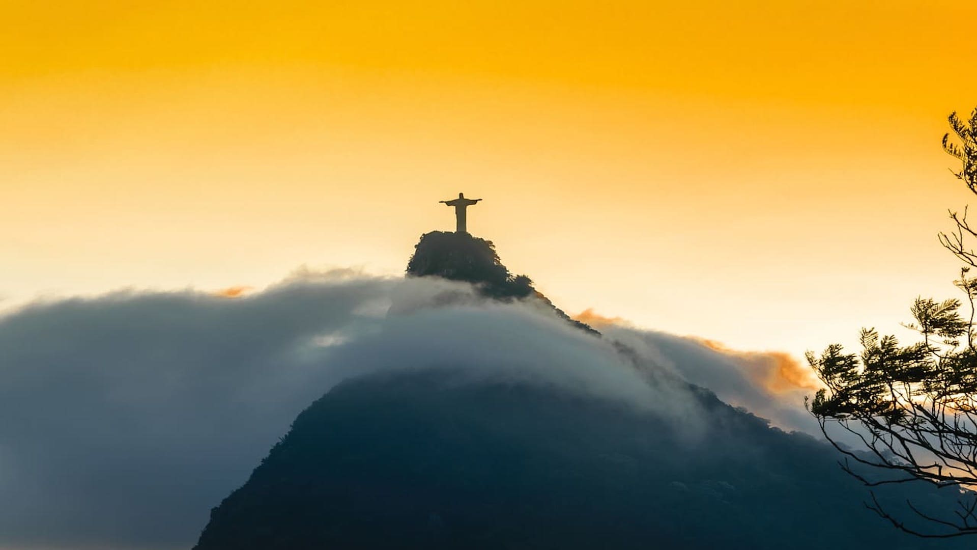 Incredible Brazil