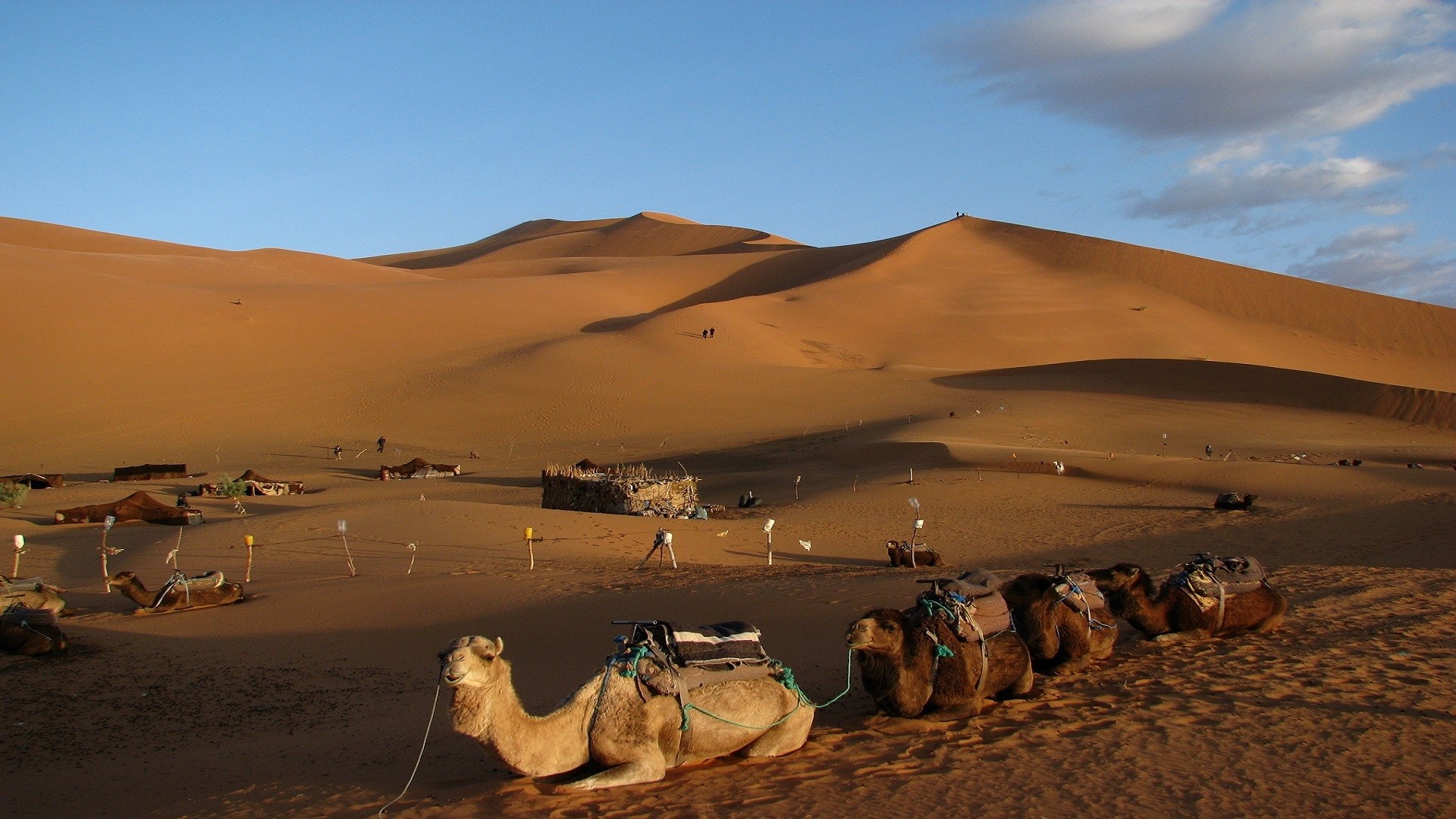 Royal Cities and Marrakech