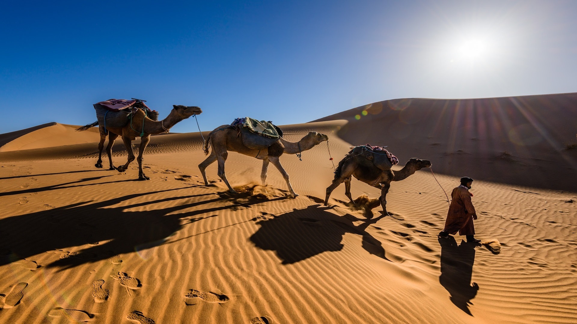 Marrakech and Desert
