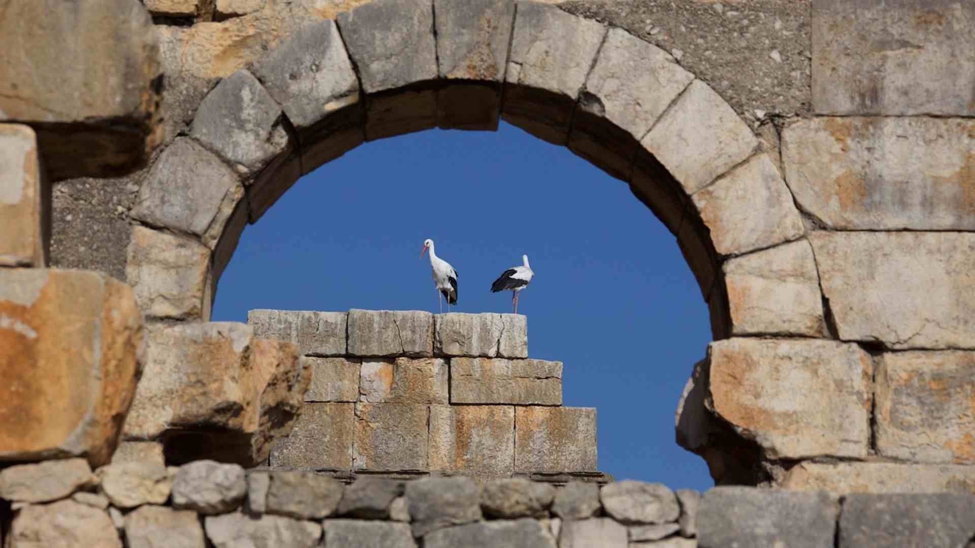 Morocco South to North Discovery
