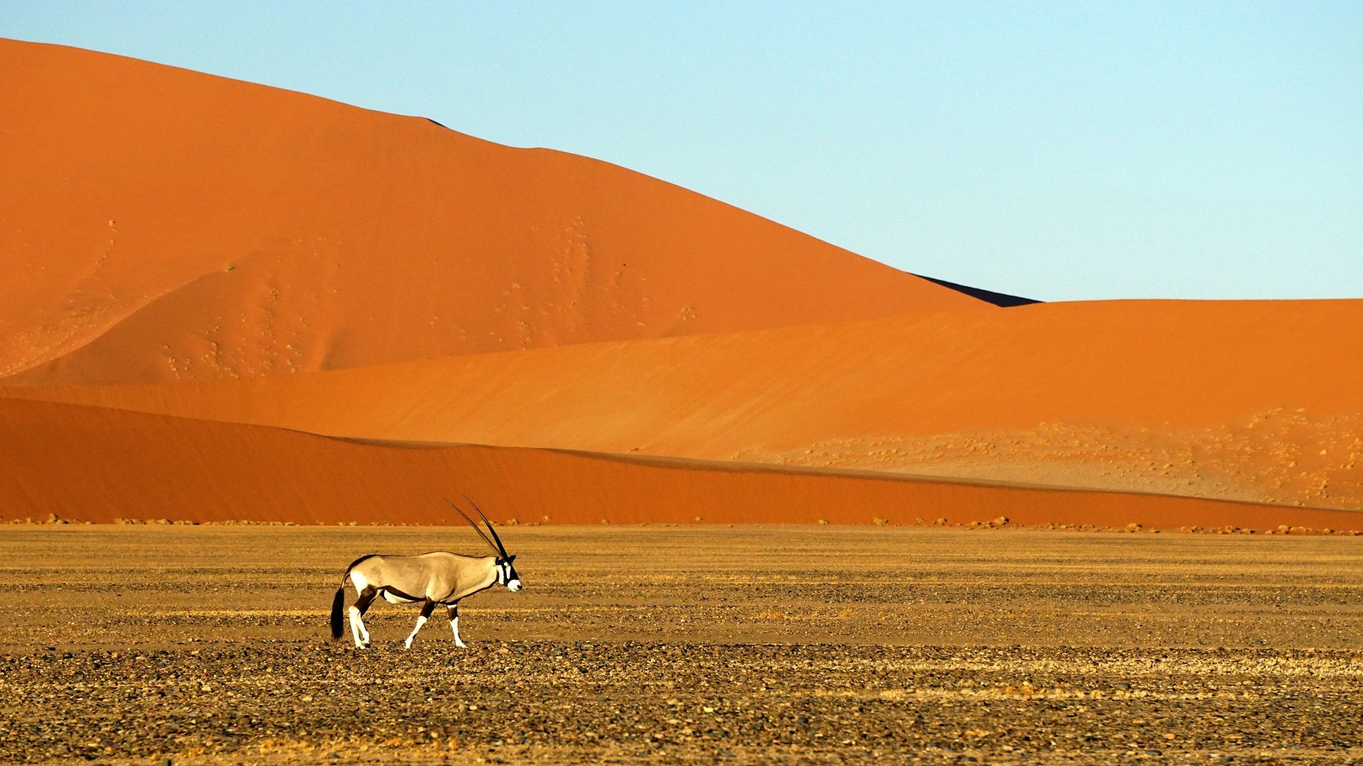 Namibia Southern Odyssey