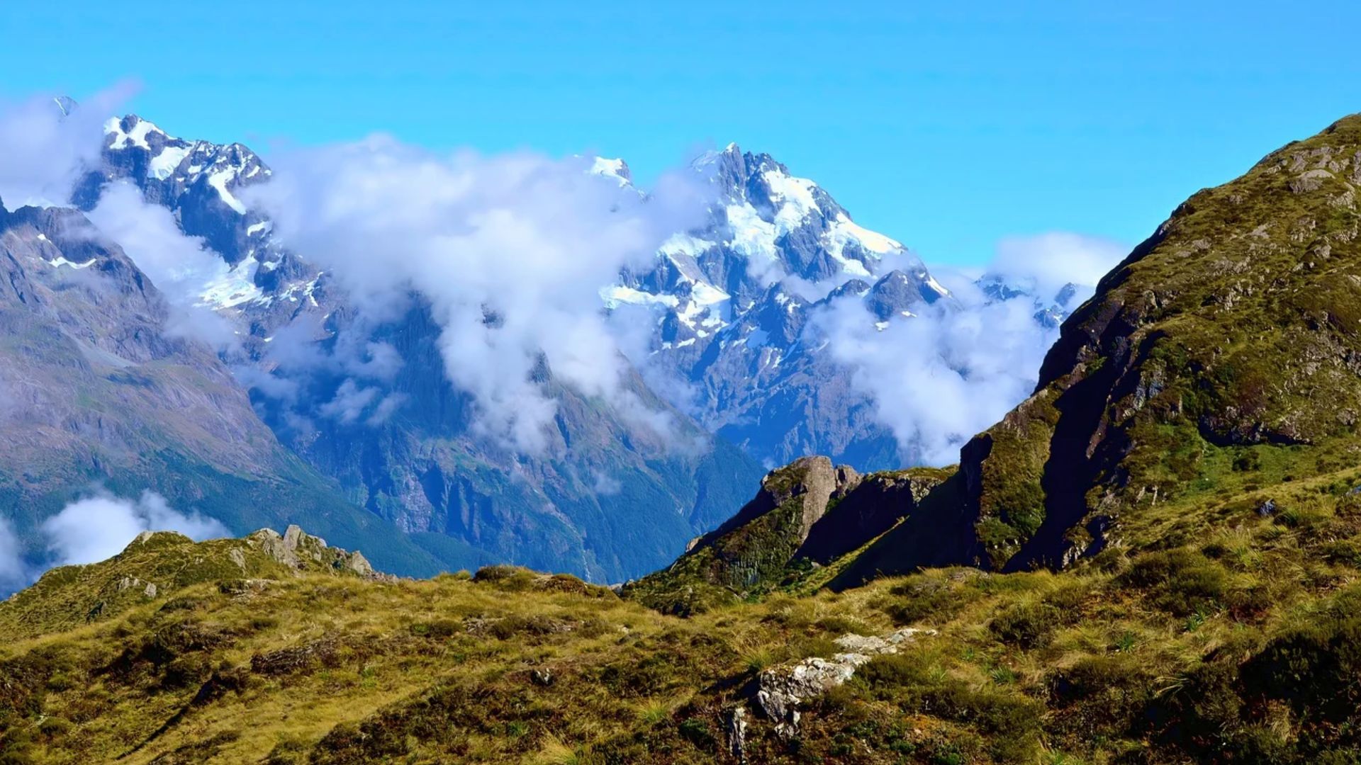 New Zealand Highlights