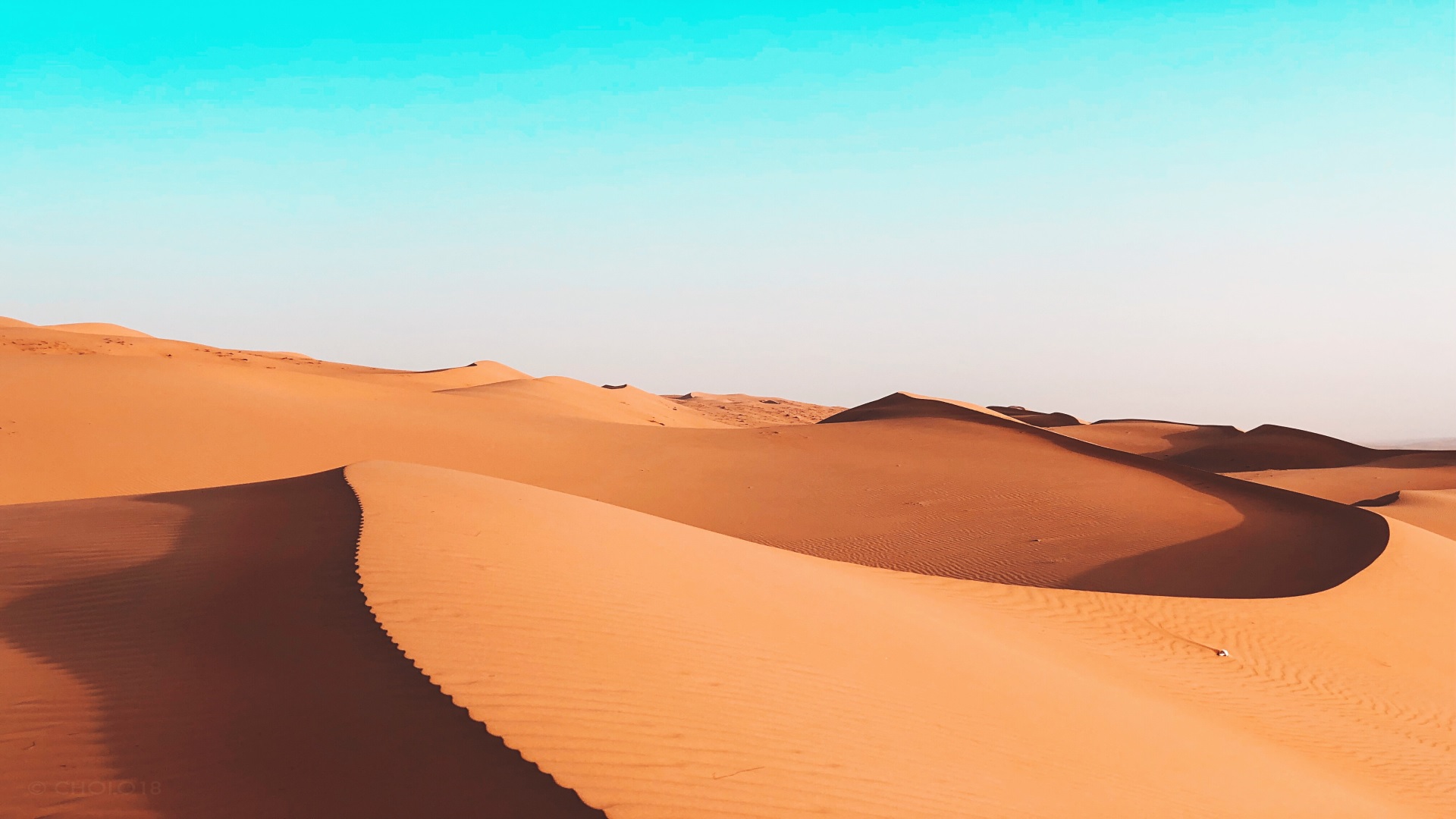 Oman's Desert Extravaganza