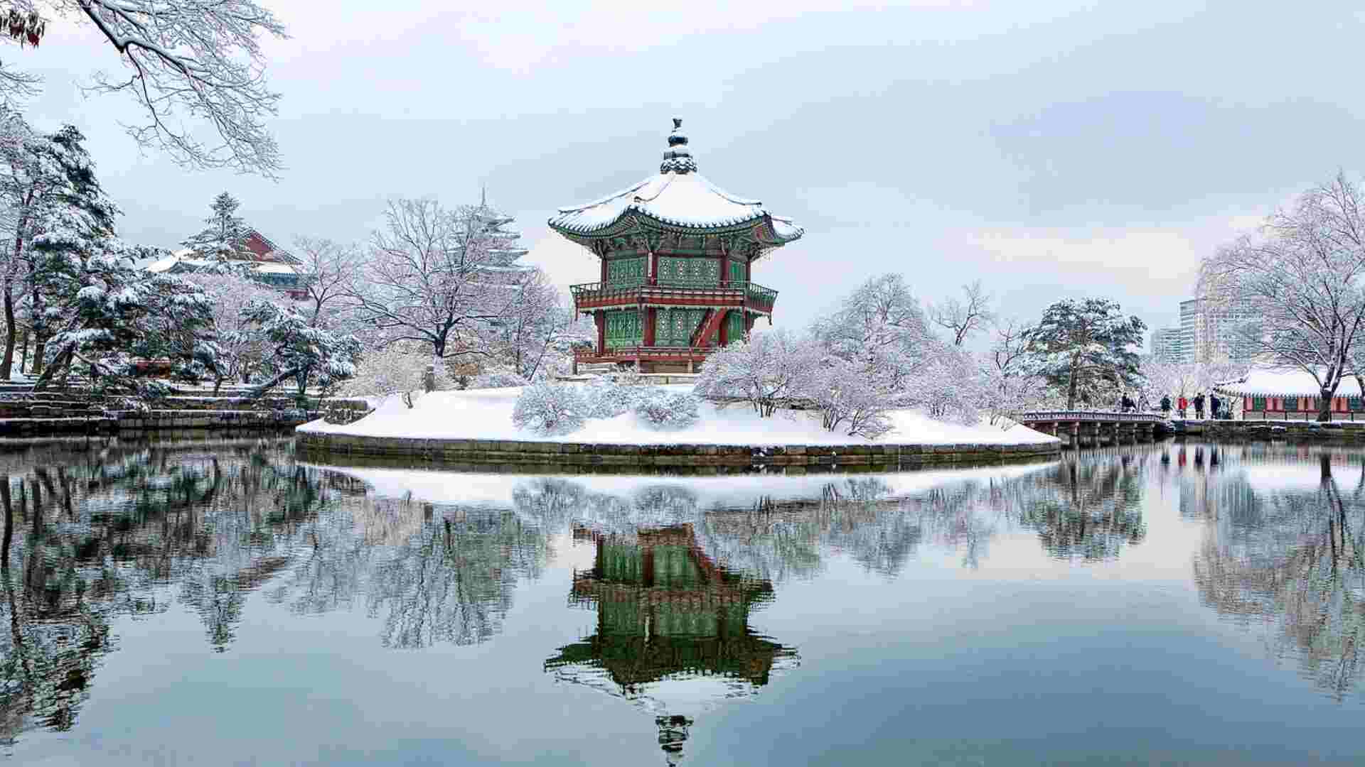 South Korea Family Tour With Korean Wave