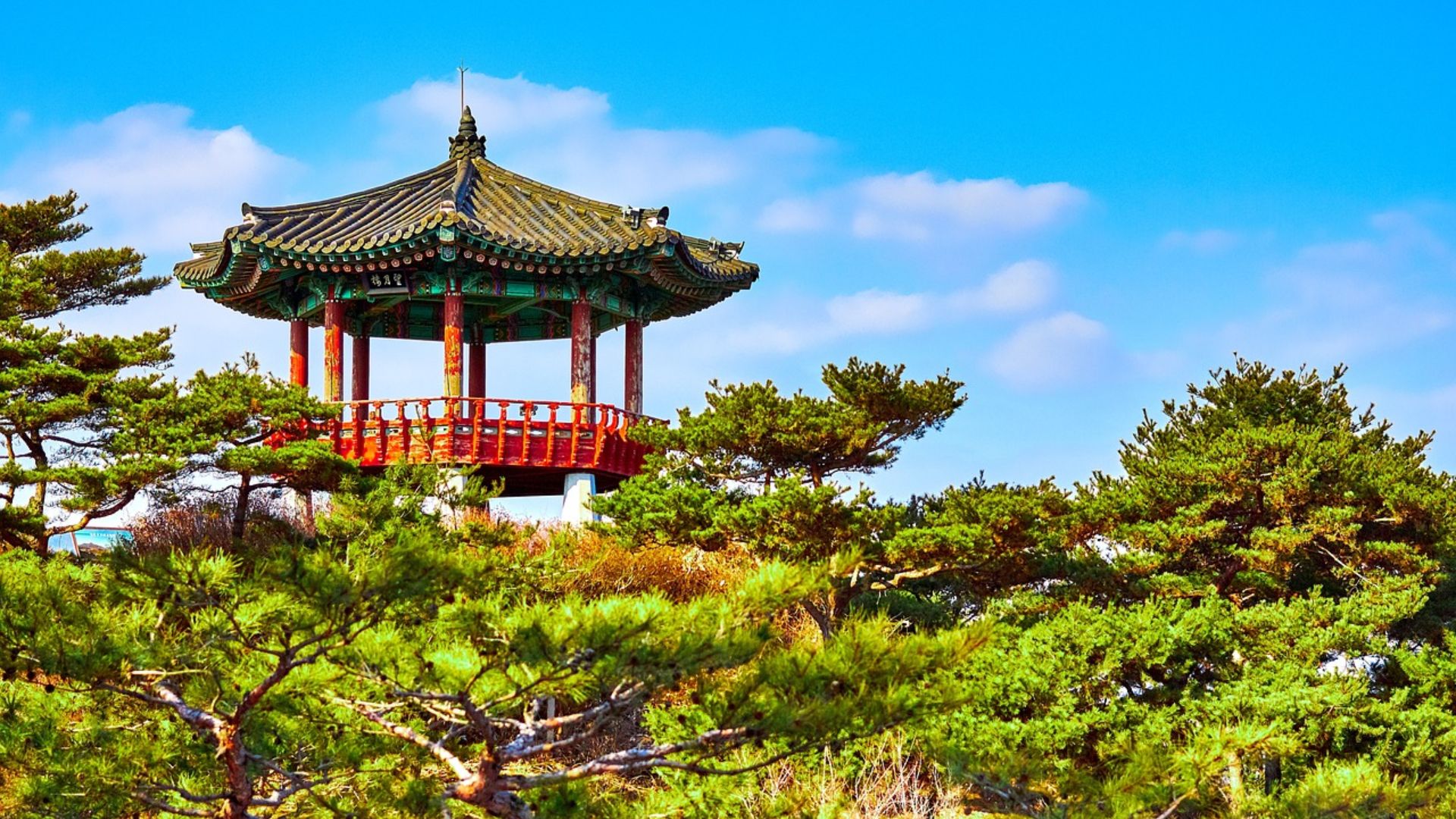 South Korea Family Tour