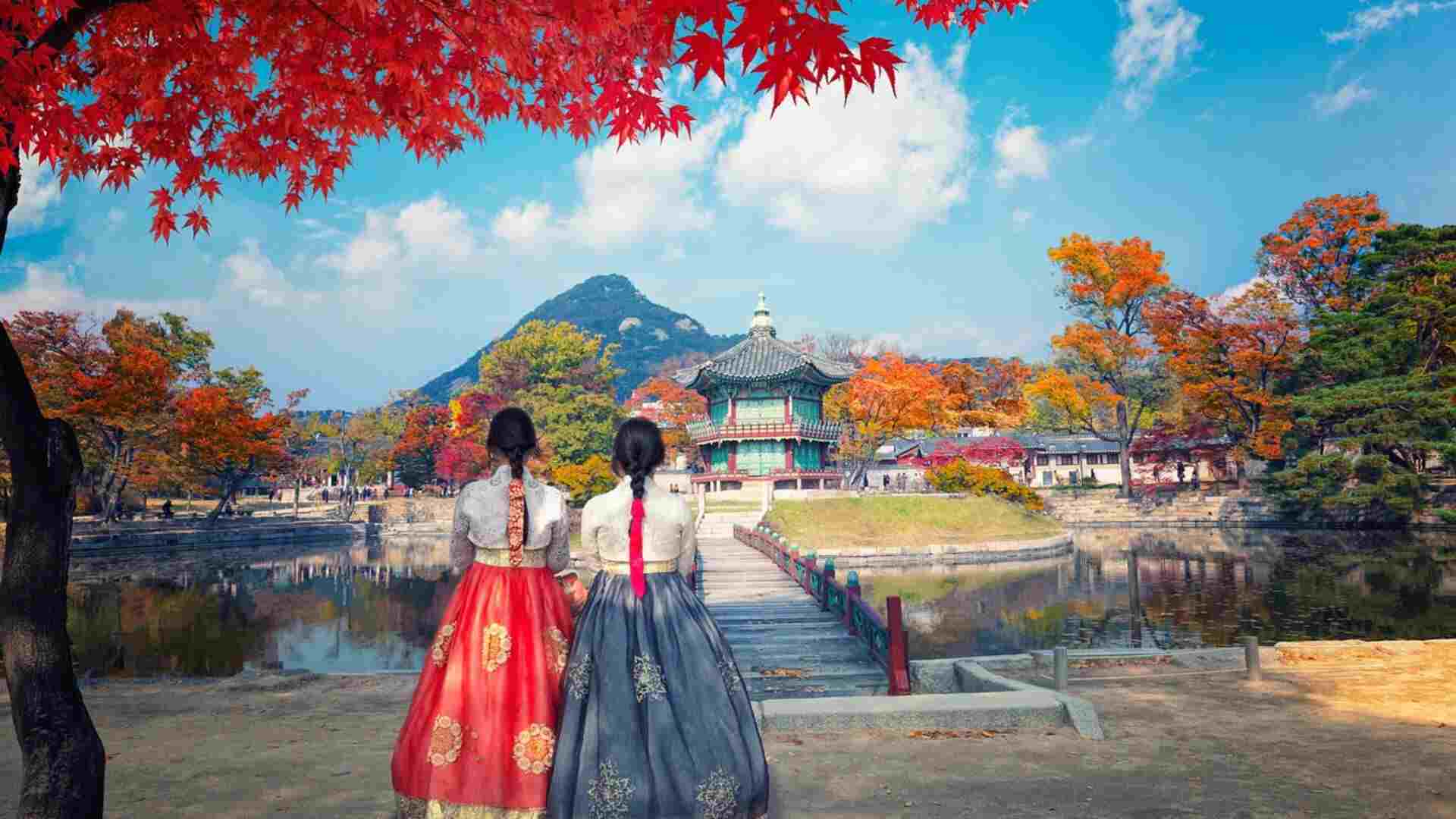 South Korea Highlights
