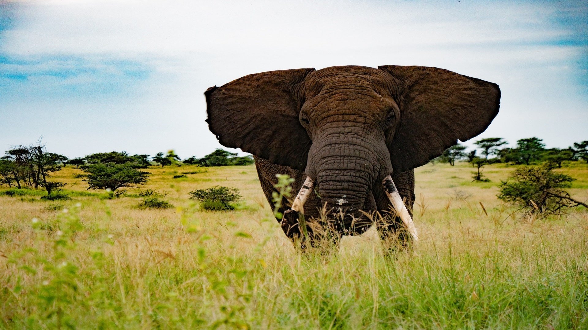 Tanzania Adventure