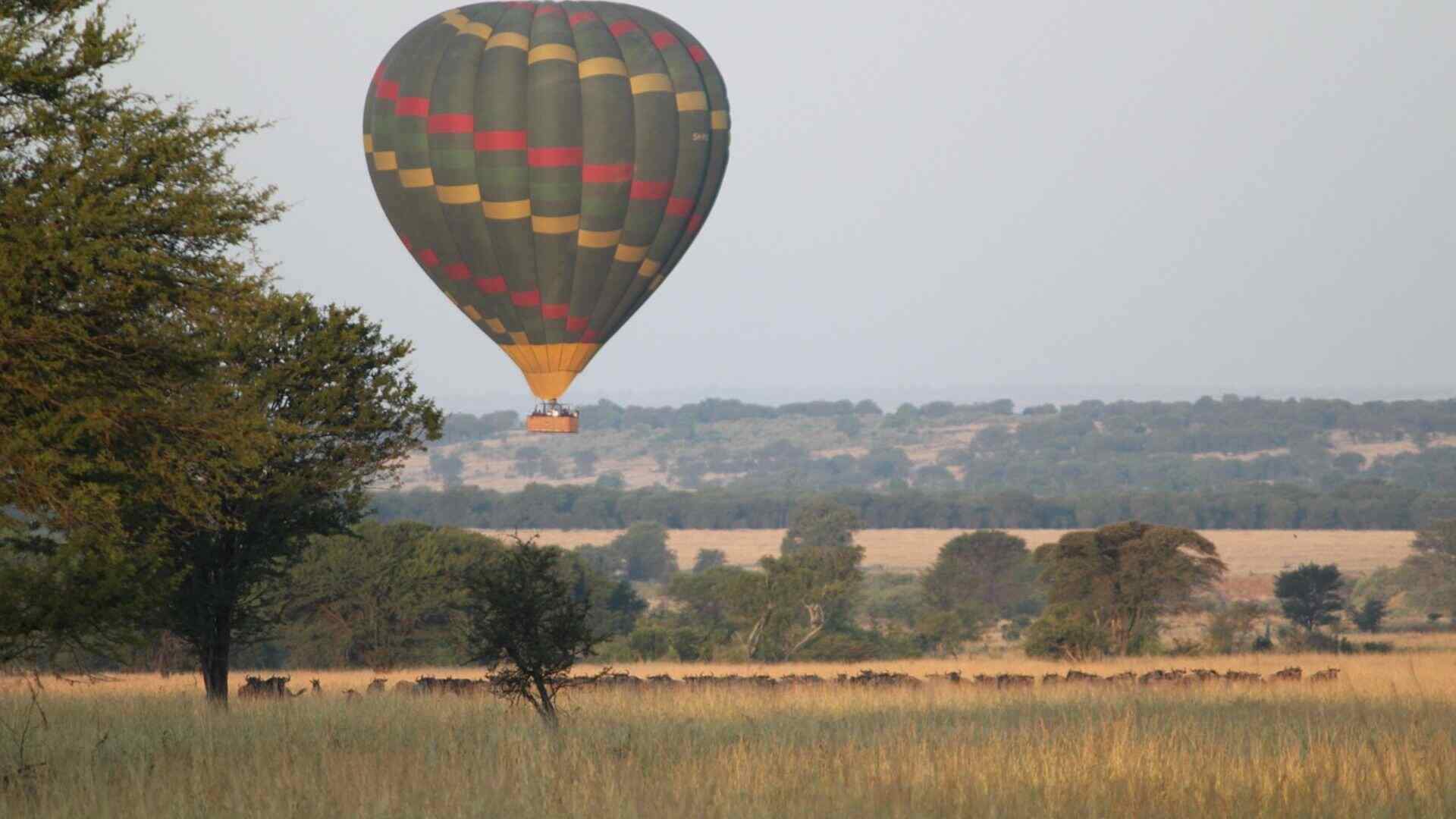 Tanzania Safari and Island Escape