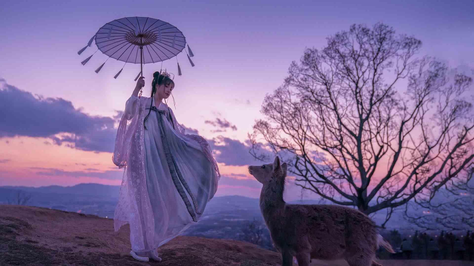 Timeless Japan Journey