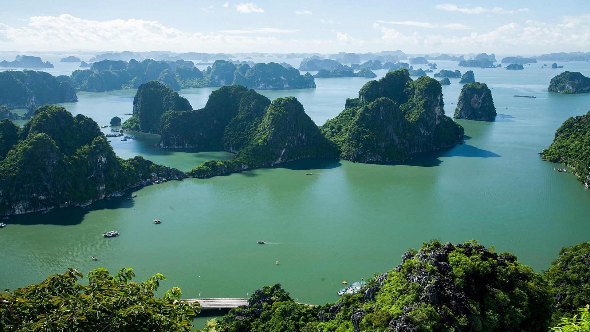 Vietnam in Depth