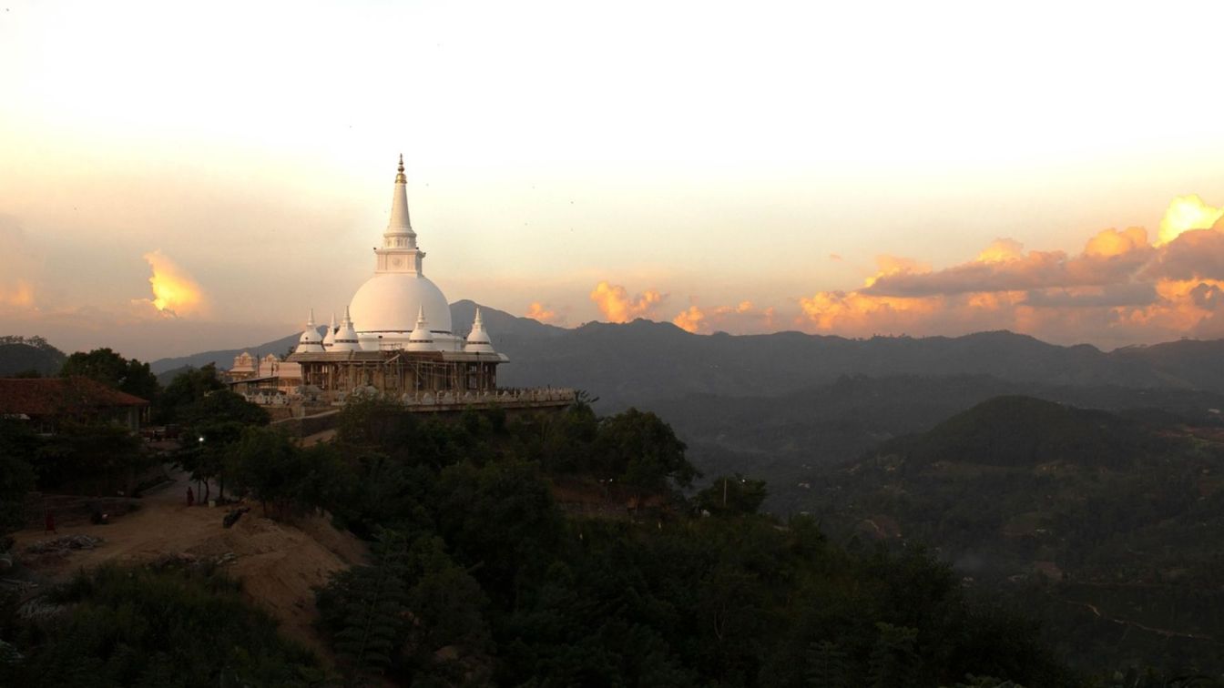 Wild Wonder Of Sri Lanka