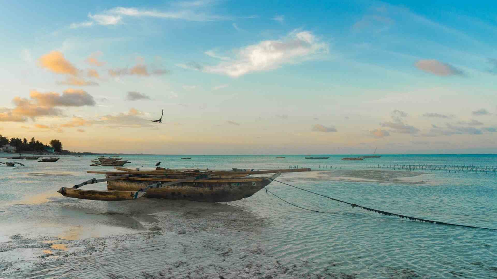 Zanzibar Getaway