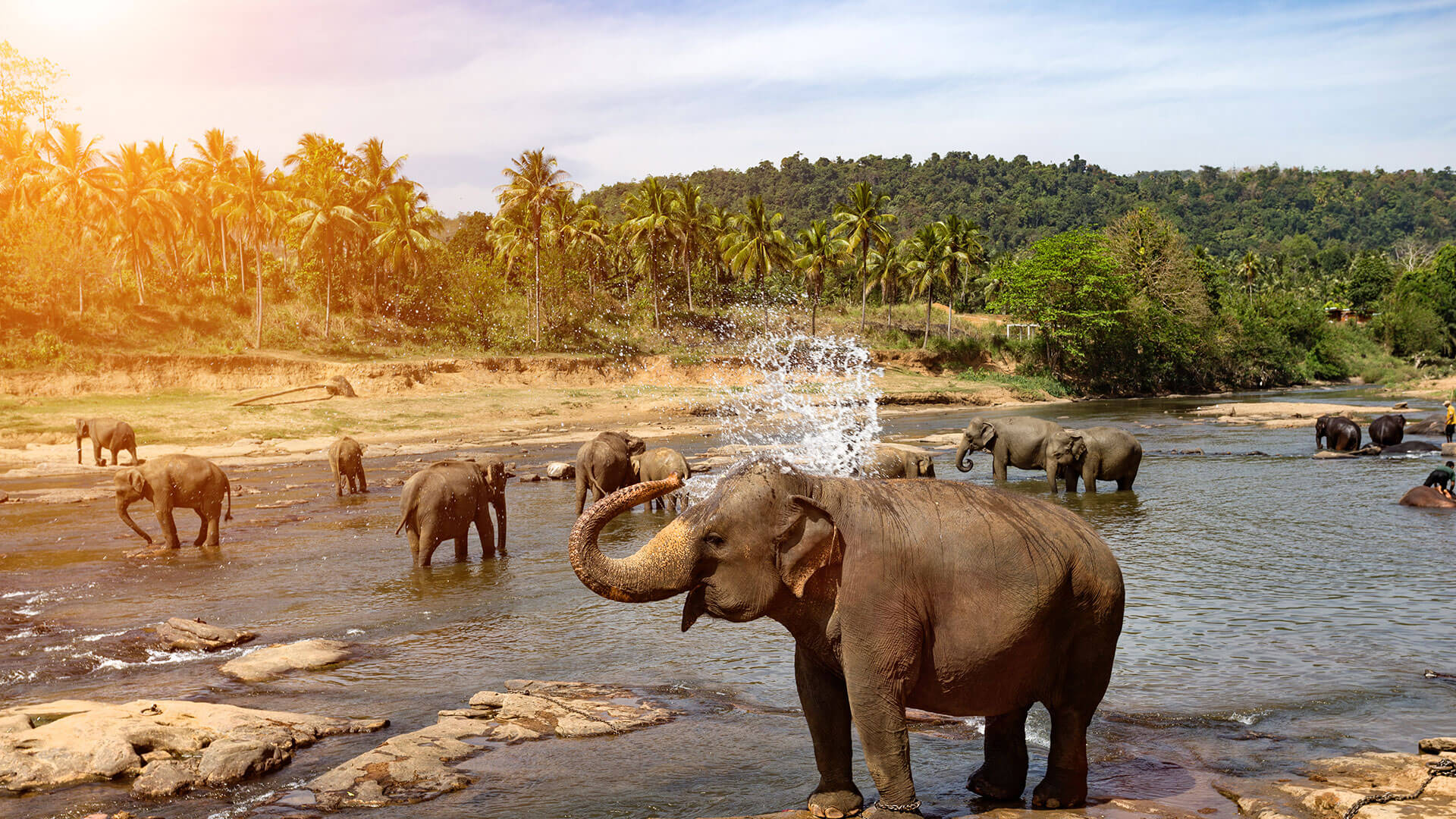 Best of India And Sri Lanka
