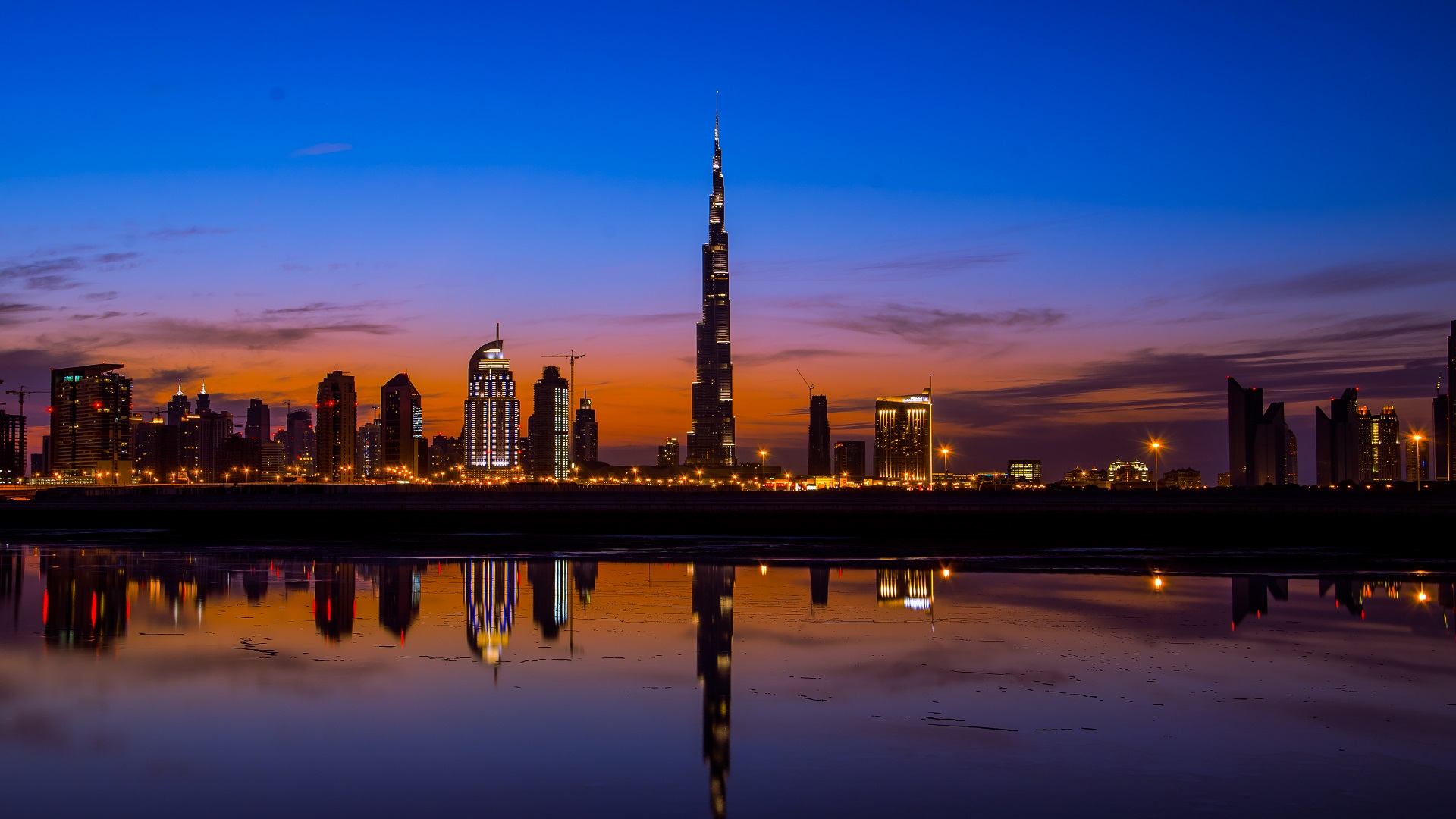 Dubai Delight